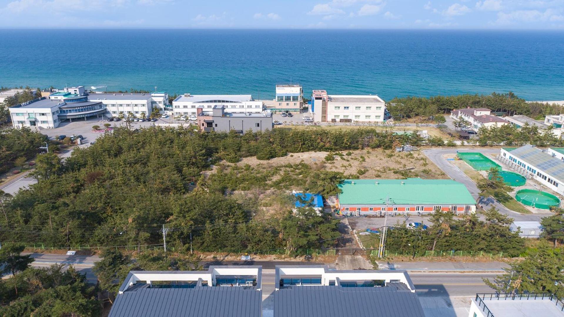 Gangneung Joeungot Poolvilla Bagian luar foto